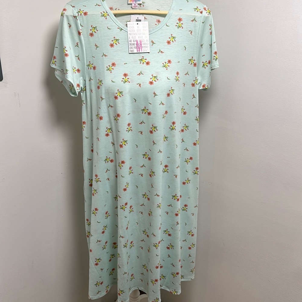 Cute floral print on a mint green dress with pockets NWT